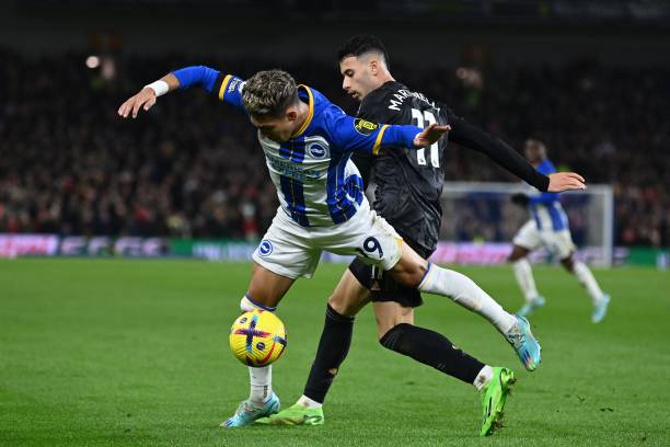 大他的影響 大他的影響