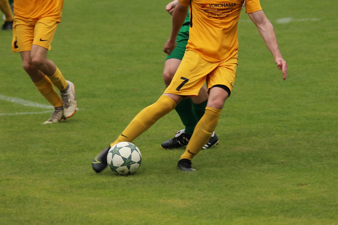 公布的排名 公布的排名