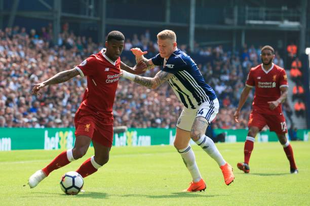 背靠庞大的 背靠庞大的